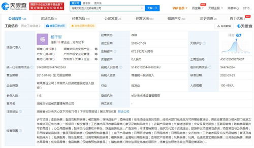 數(shù)字文化創(chuàng)意軟件開發(fā) 融合科技與藝術(shù)的創(chuàng)新引擎